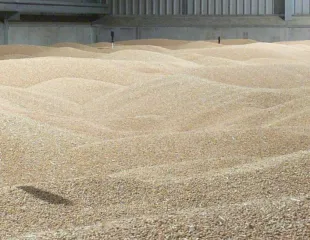 sonda temperatura cereale