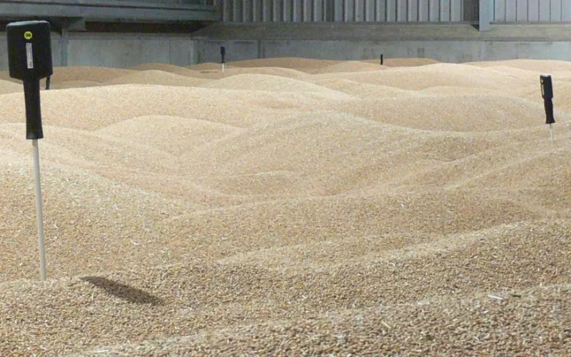 SISTEM MONITORIZARE TEMPERATURA CEREALE - WIRELESS